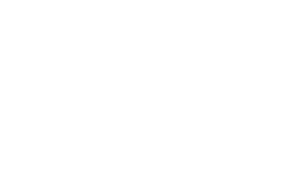 Tsunami Logo
